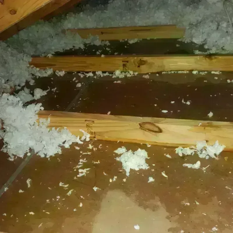 Attic Water Damage in Belfast, ME